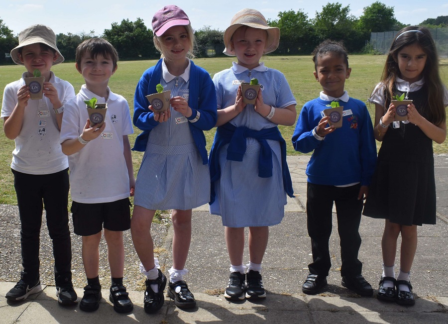 1b youngsters from Raleigh Primary School with the lettuces they planted thanks to a session with Gs Fresh