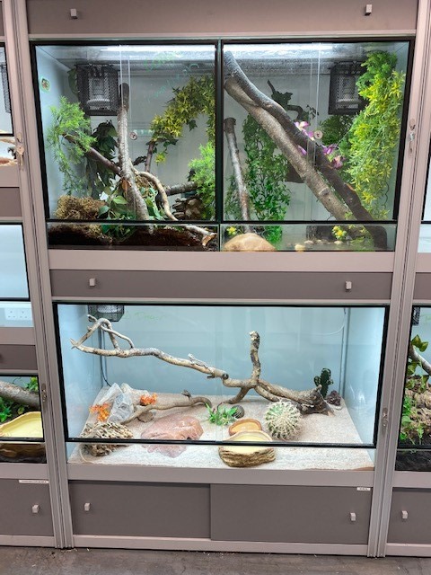 Photo of two glass enclosures for reptiles