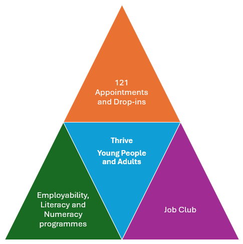 thrive triangular model